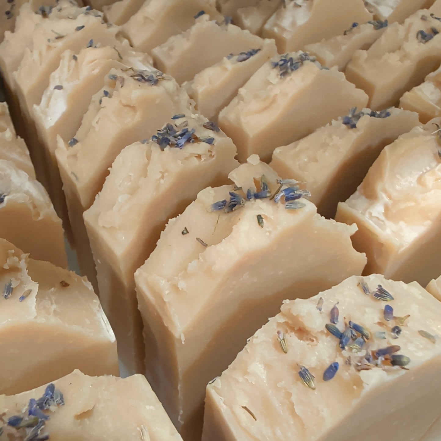 Close-up of beige soap bars with specks of lavender on a white background